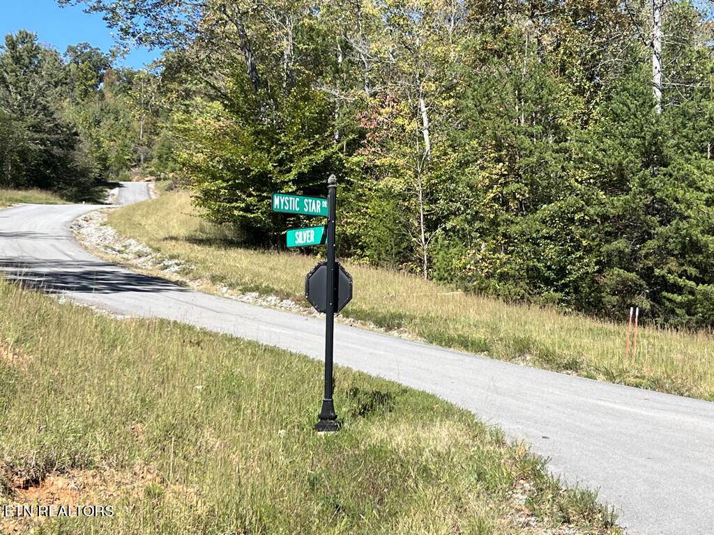 New Tazewell, TN 37825,Lot 409 Mystic Star DR