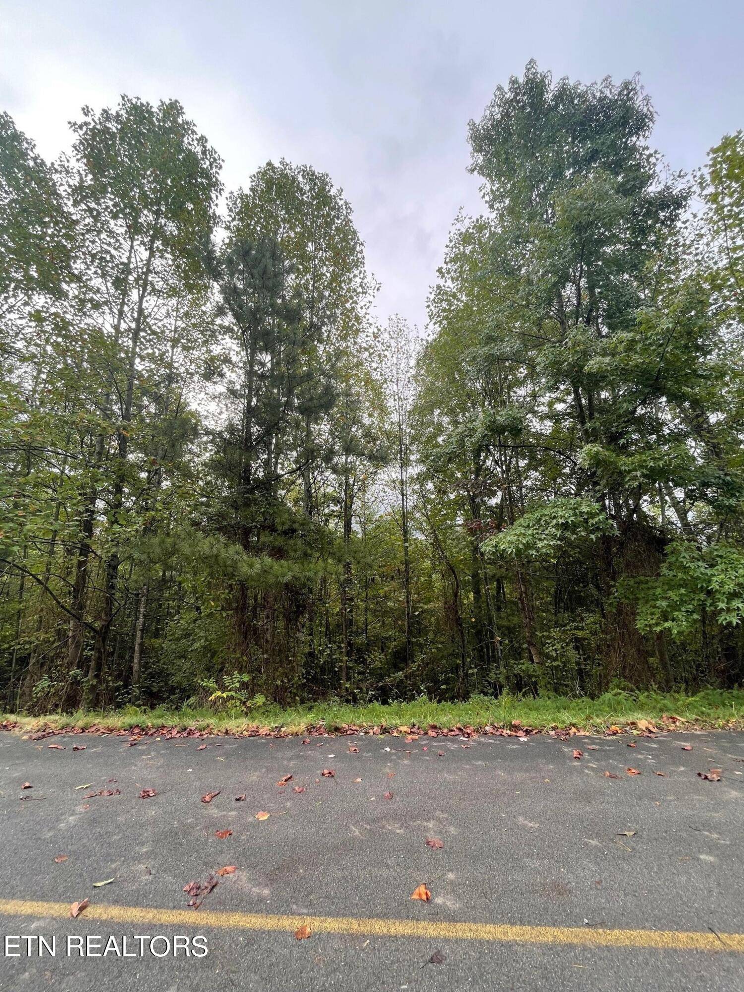 Walland, TN 37886,445 Hawken DR