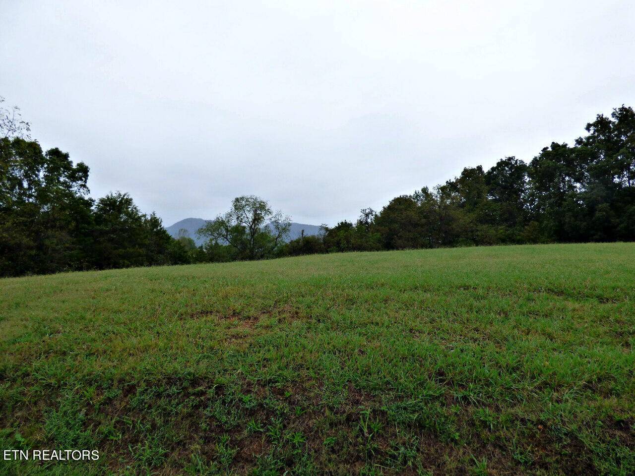 Blaine, TN 37709,Lot 1 Indian Ridge Rd