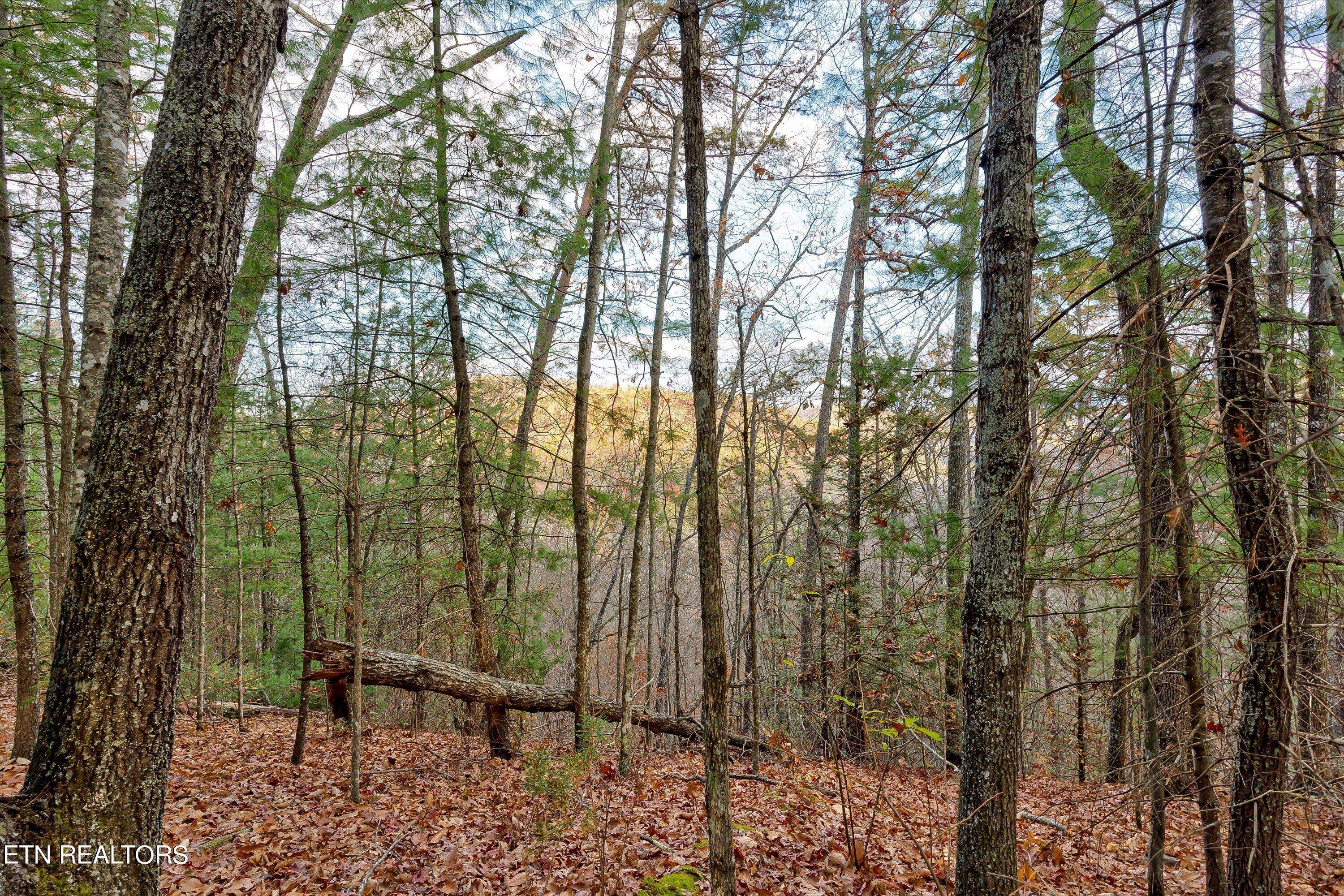 Sevierville, TN 37862,Lot 81 Whetstone Rd