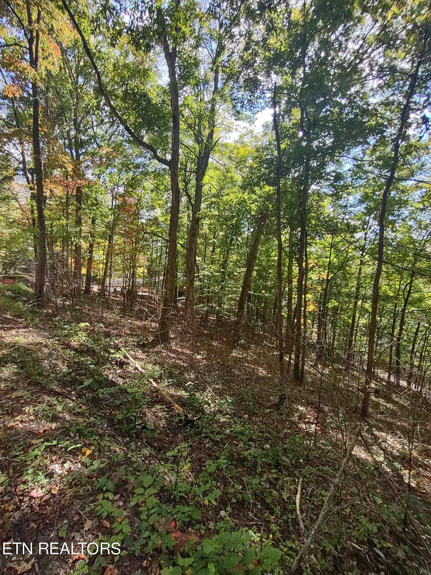 Speedwell, TN 37870,Hueston Wood LN