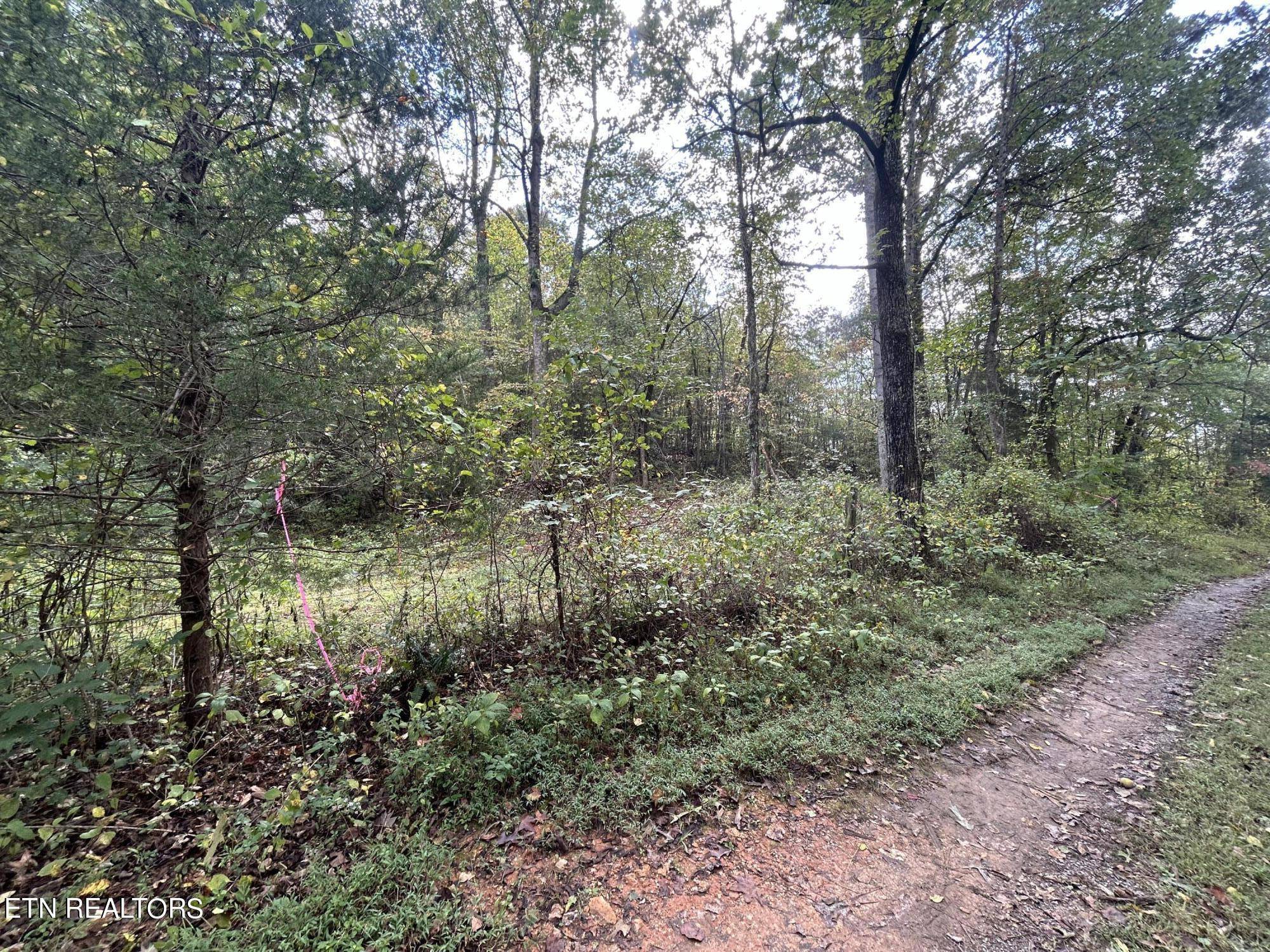 Clinton, TN 37716,Lot 2 Granite Rd