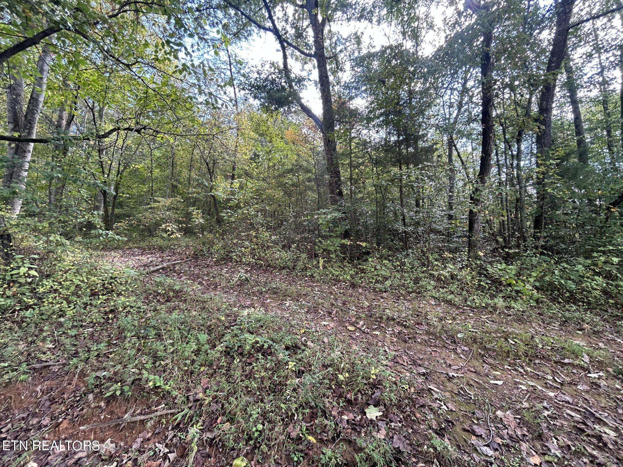 Clinton, TN 37716,Lot 2 Granite Rd