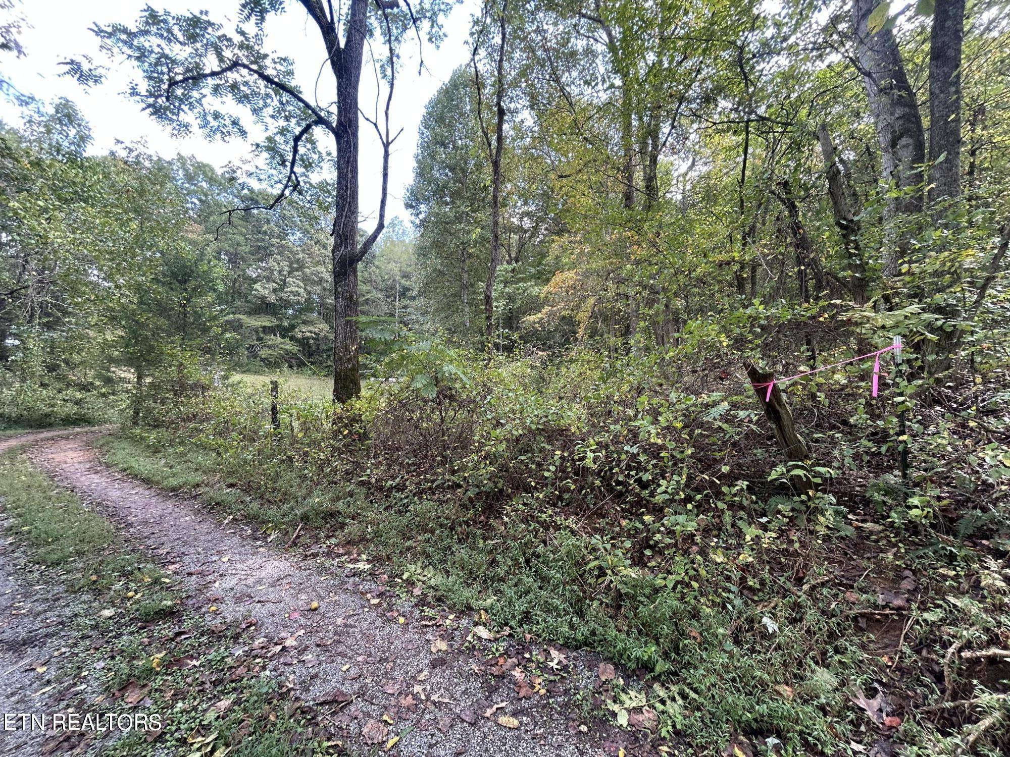 Clinton, TN 37716,Lot 2 Granite Rd