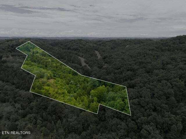 Sevierville, TN 37876,0 Witt Hollow Rd