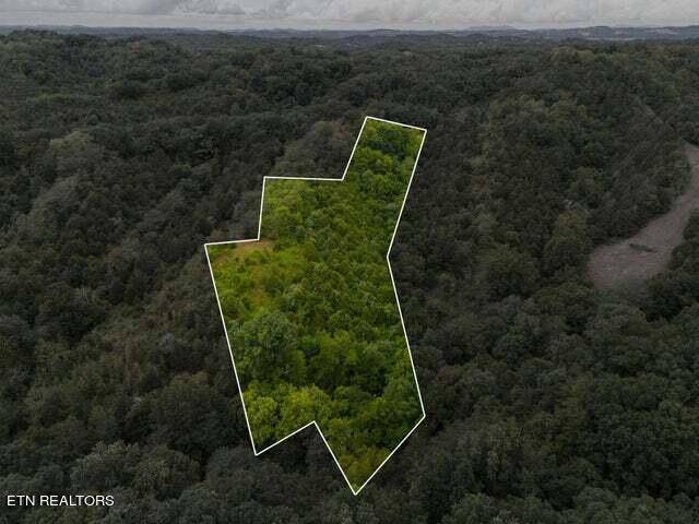 Sevierville, TN 37876,0 Witt Hollow Rd