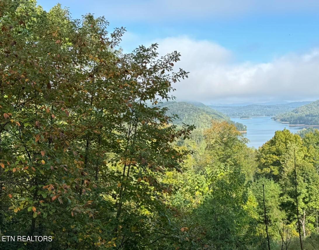 Maynardville, TN 37807,Lot 43 Overlook Trail