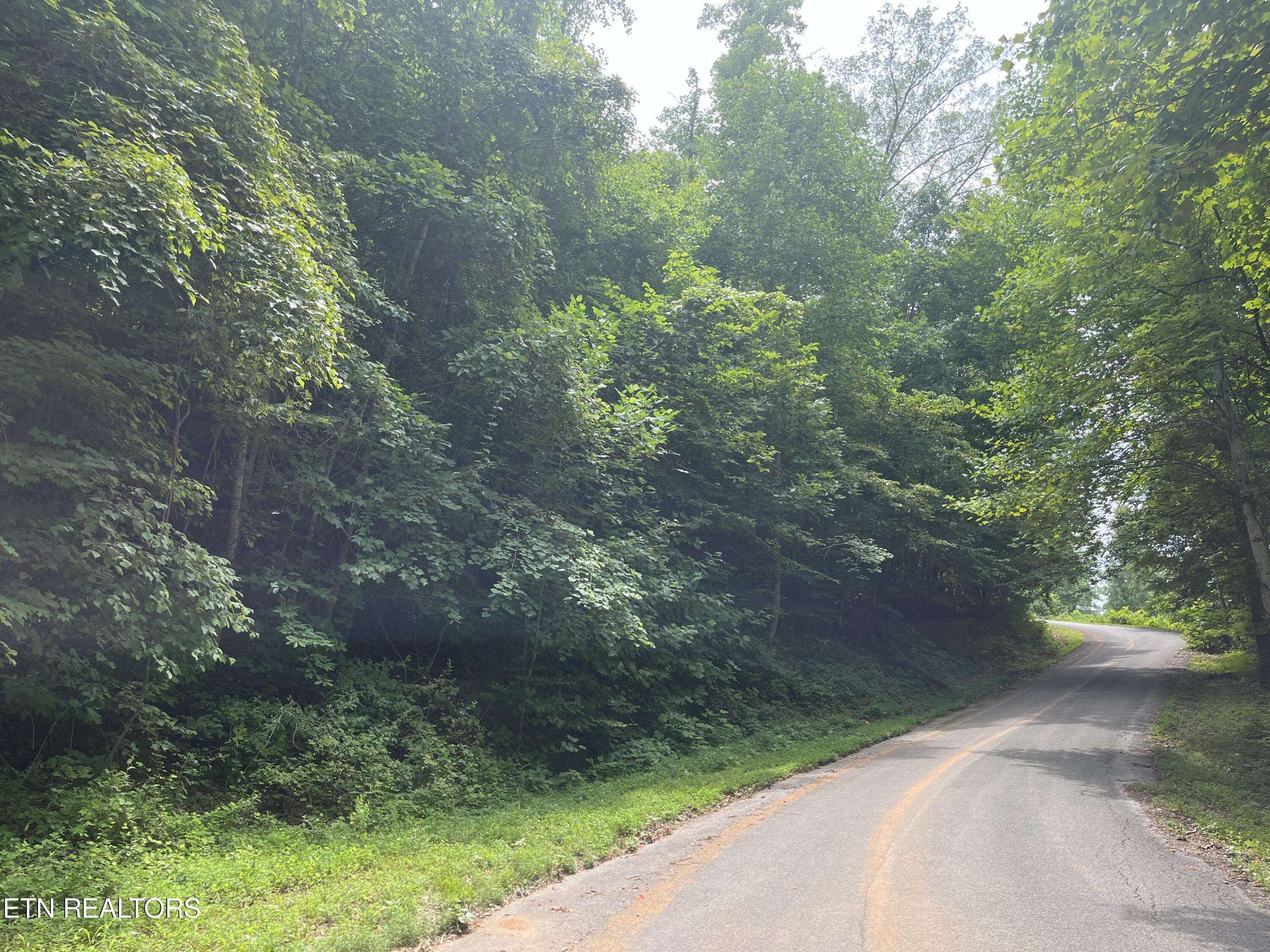 Maynardville, TN 37807,Lot 43 Overlook Trail