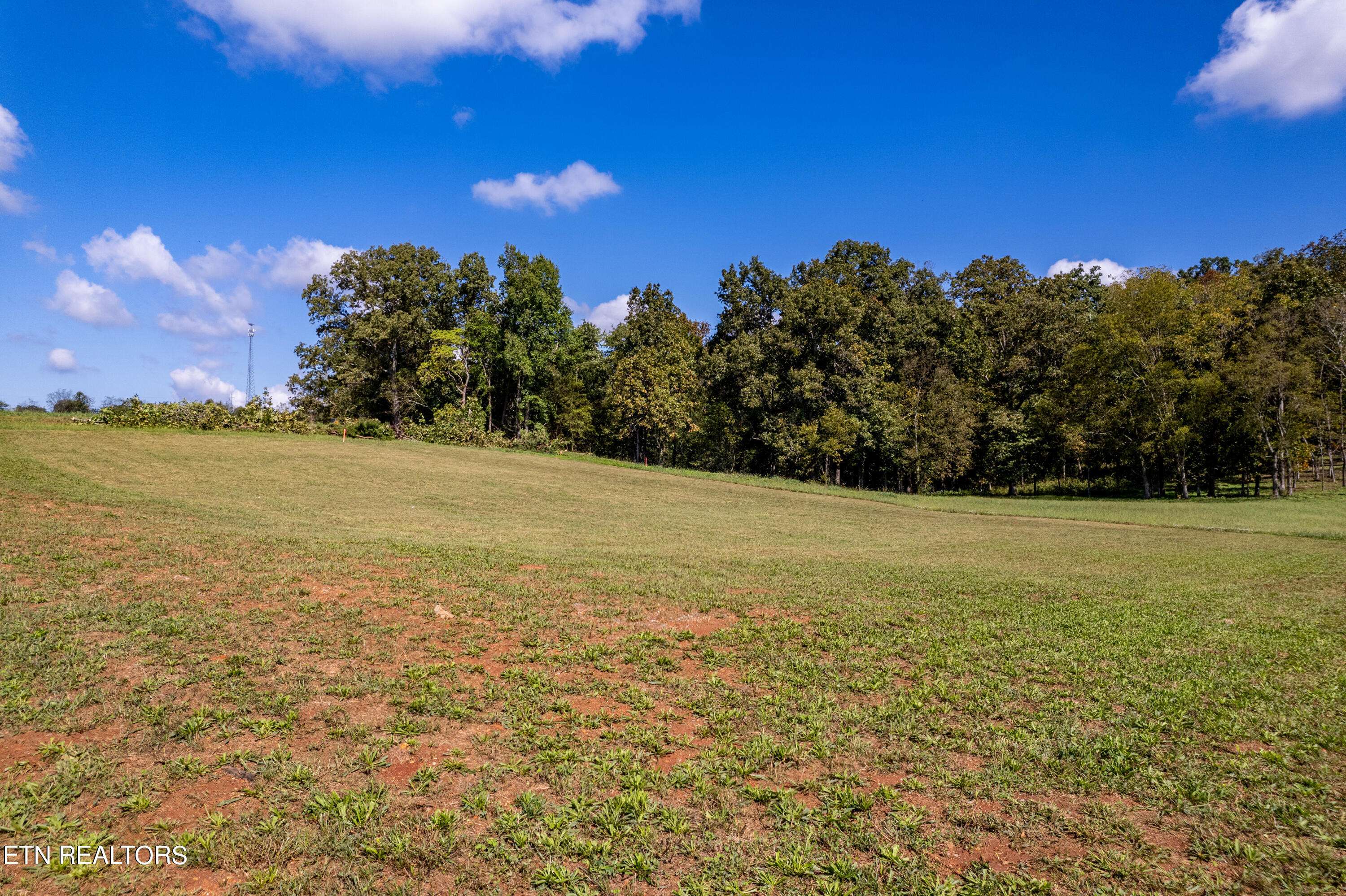 Greenback, TN 37742,Lot 133 Herbert Drive