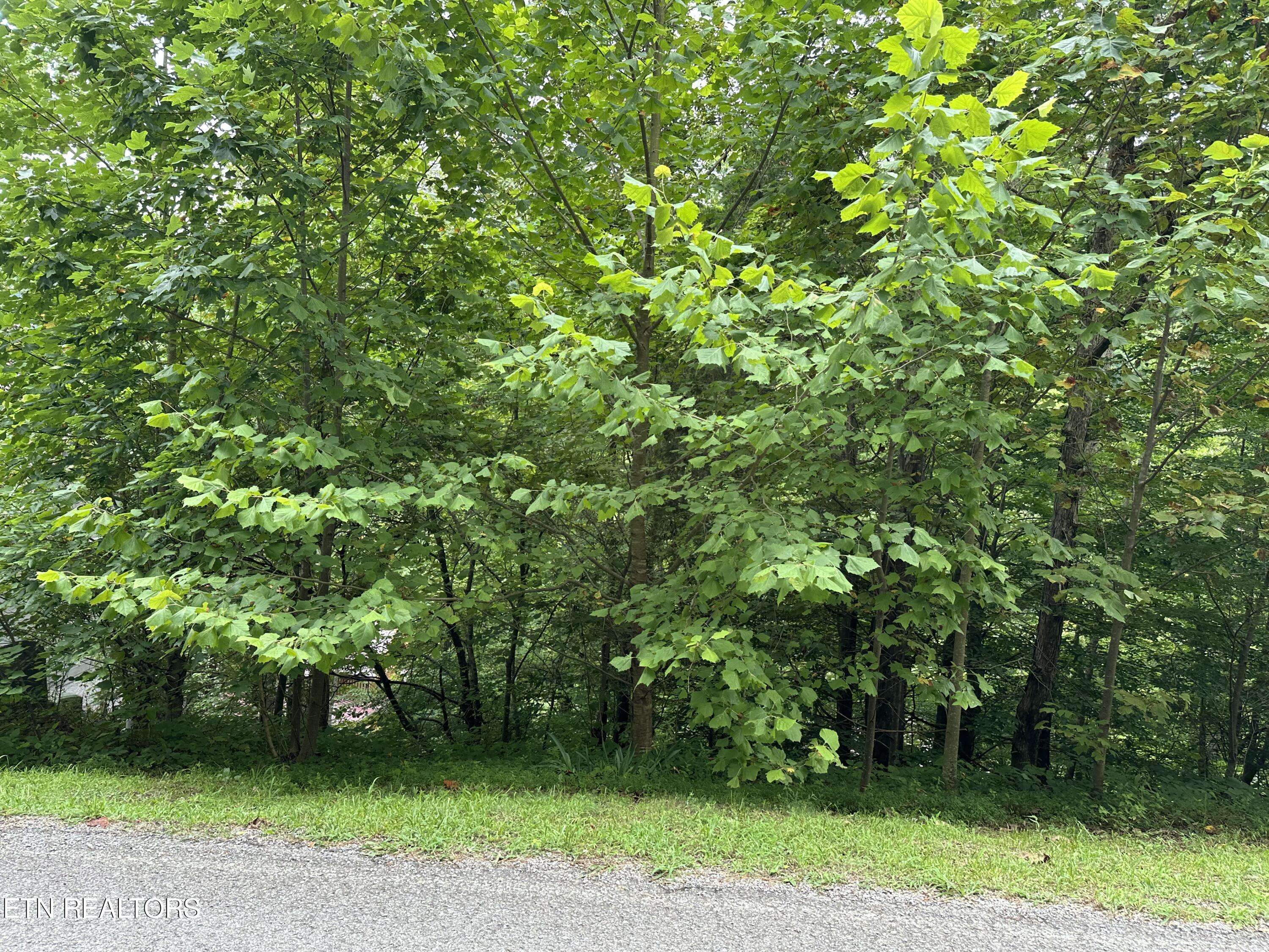 Caryville, TN 37714,lot 22 Ridge Rd