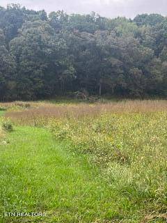 Strawberry Plains, TN 37871,Lot#2 Shady Road