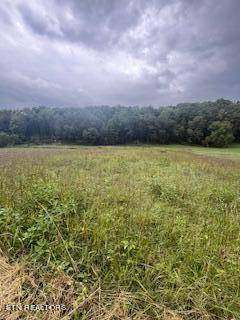 Strawberry Plains, TN 37871,Lot#2 Shady Road