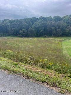 Strawberry Plains, TN 37871,Lot#2 Shady Road