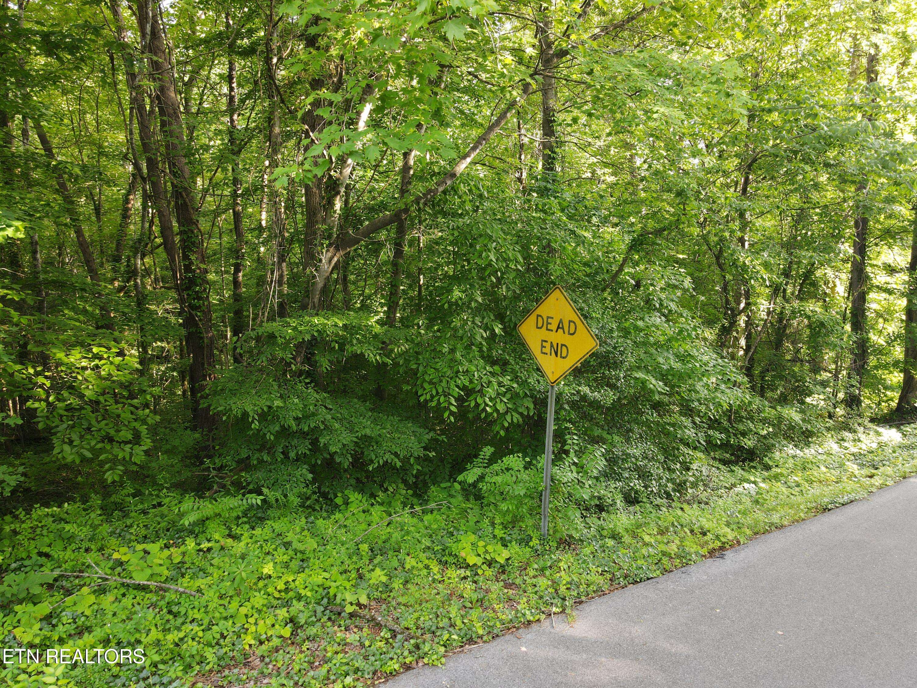 Pigeon Forge, TN 37863,Pine DR