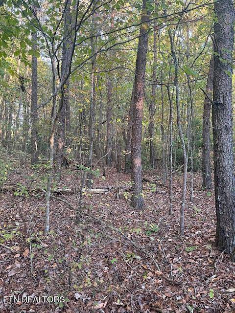 Monterey, TN 38574,Bussell Drive