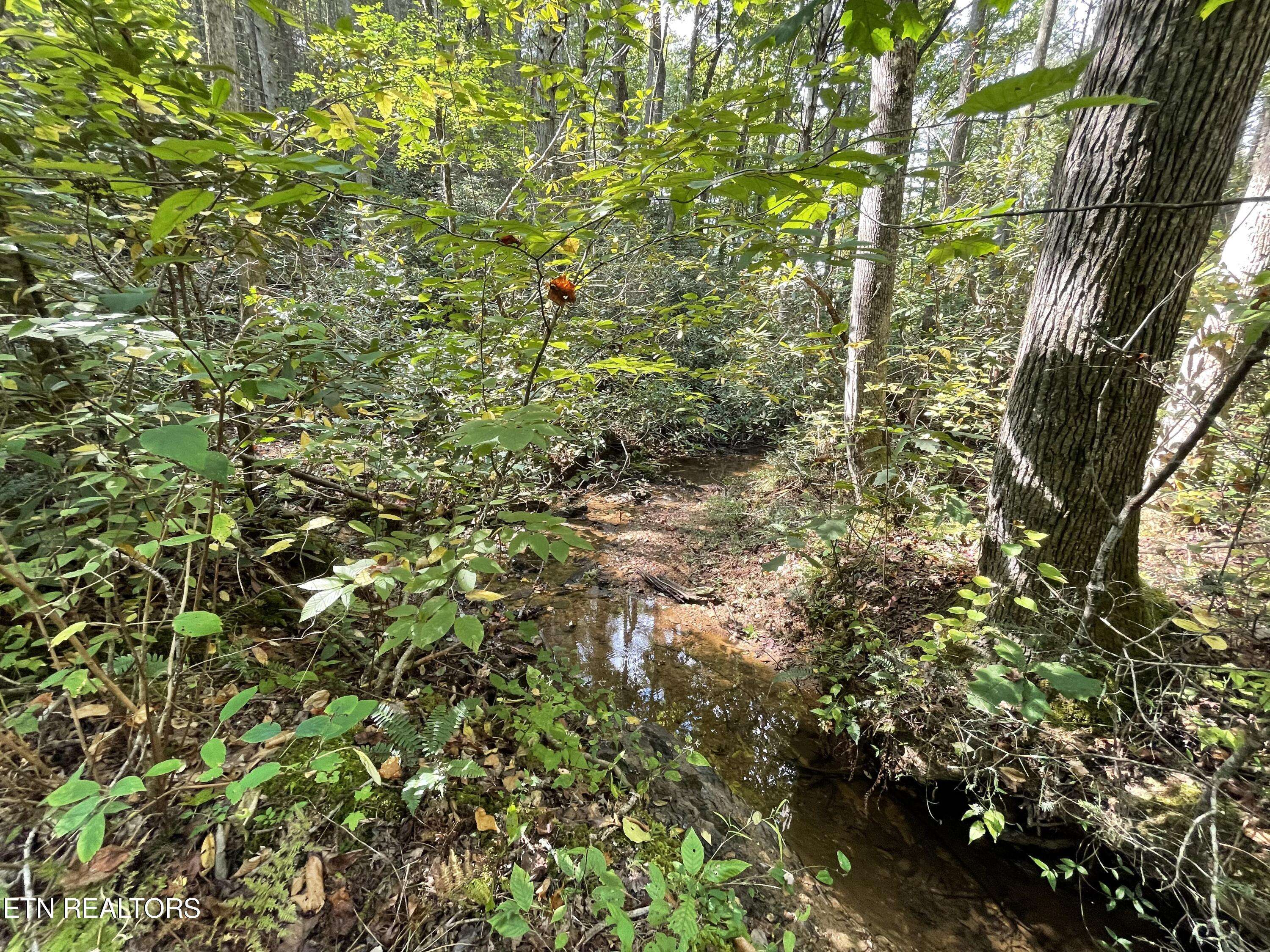 Tellico Plains, TN 37385,Lot16 Steer Creek Rd