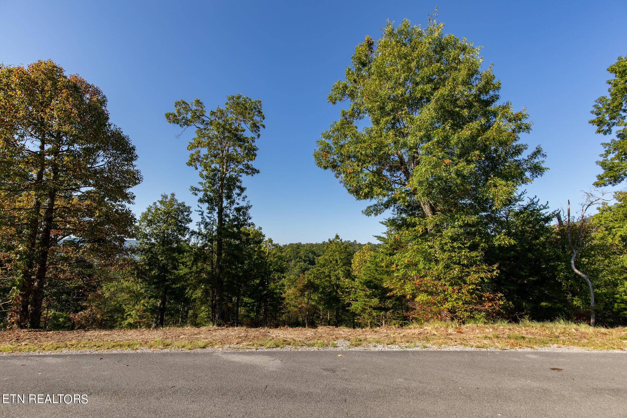 Sevierville, TN 37862,Lot 53 Misty Bluff Tr