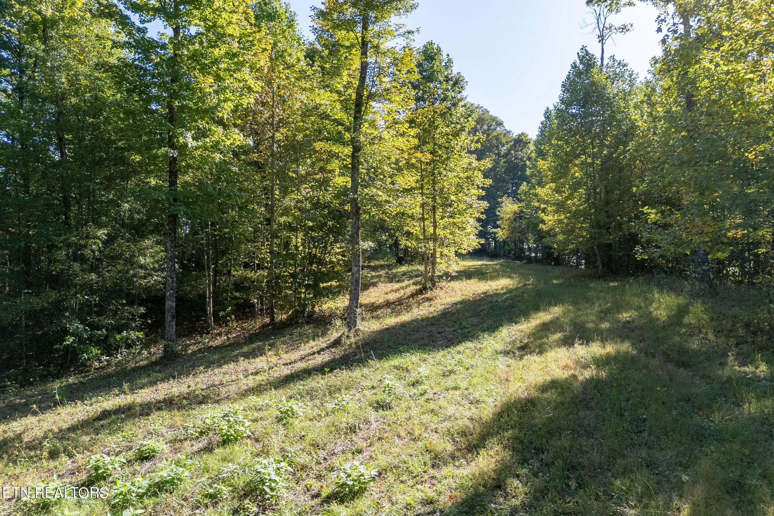 Sparta, TN 38583,35 AC White Oak Flatt Rd