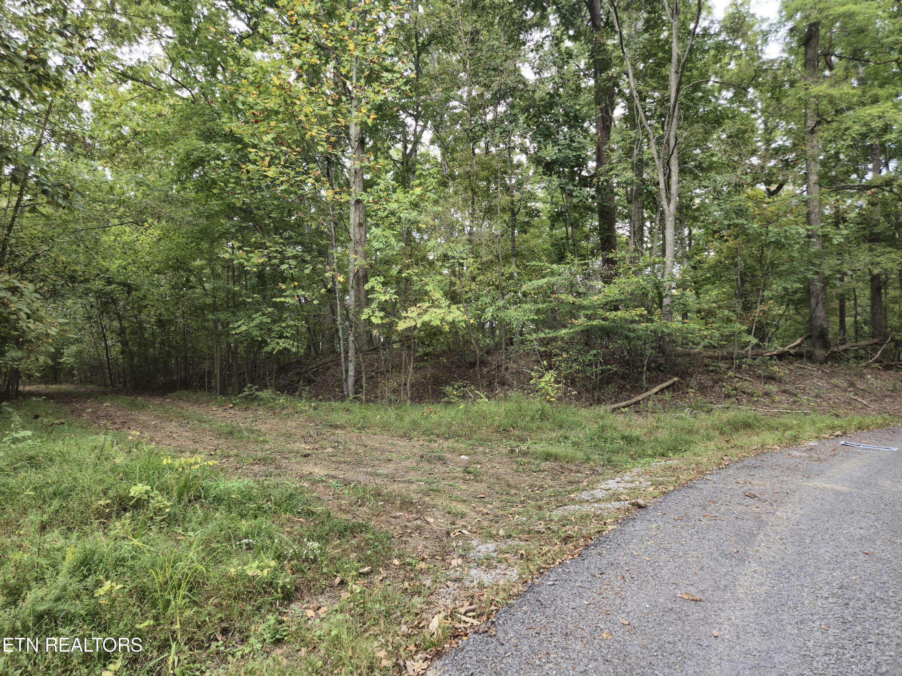 Baneberry, TN 37890,Hodges CT