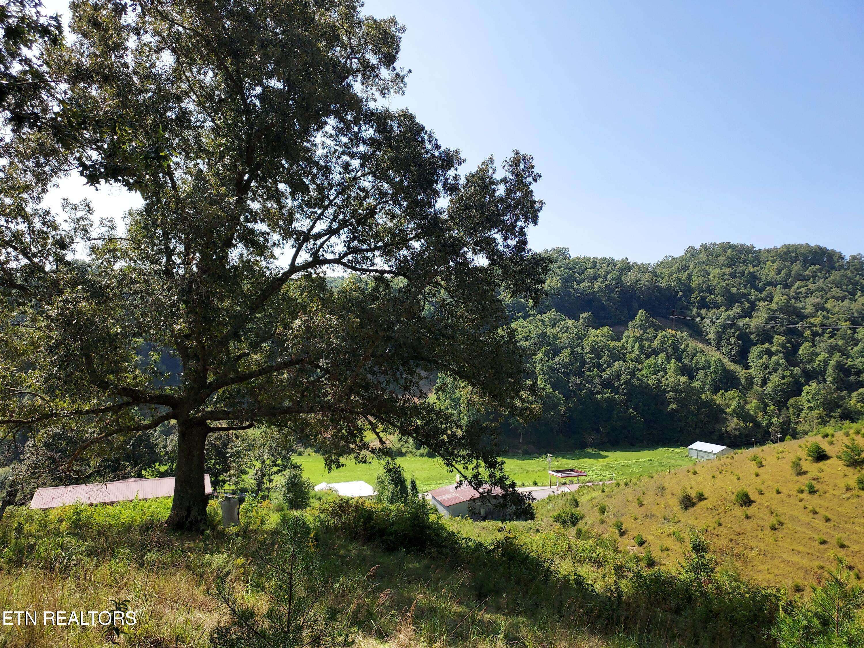 Sneedville, TN 37869,TBD MAIN (North Side-27+/-acres) St