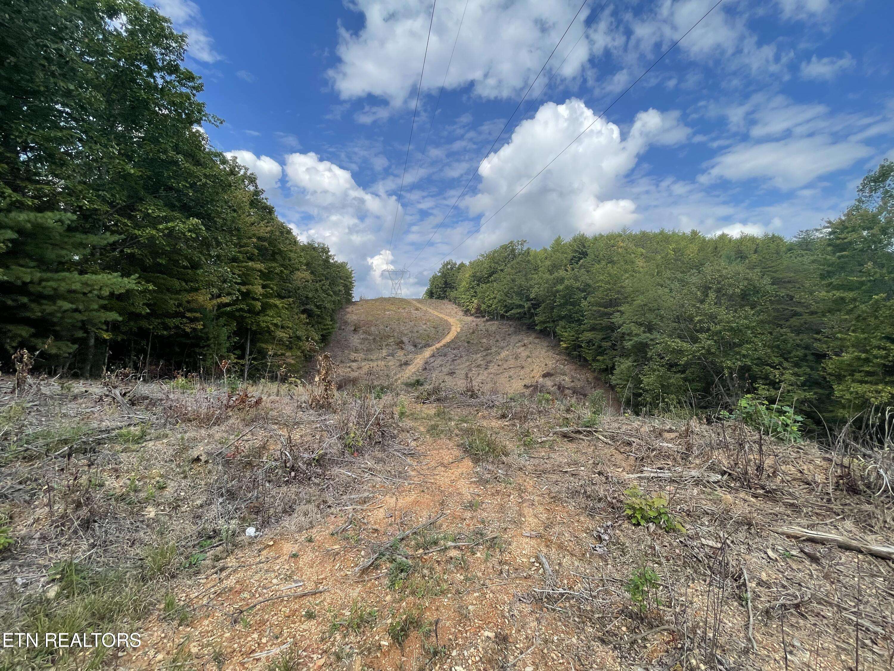 Tellico Plains, TN 37385,1ac Hwy 68