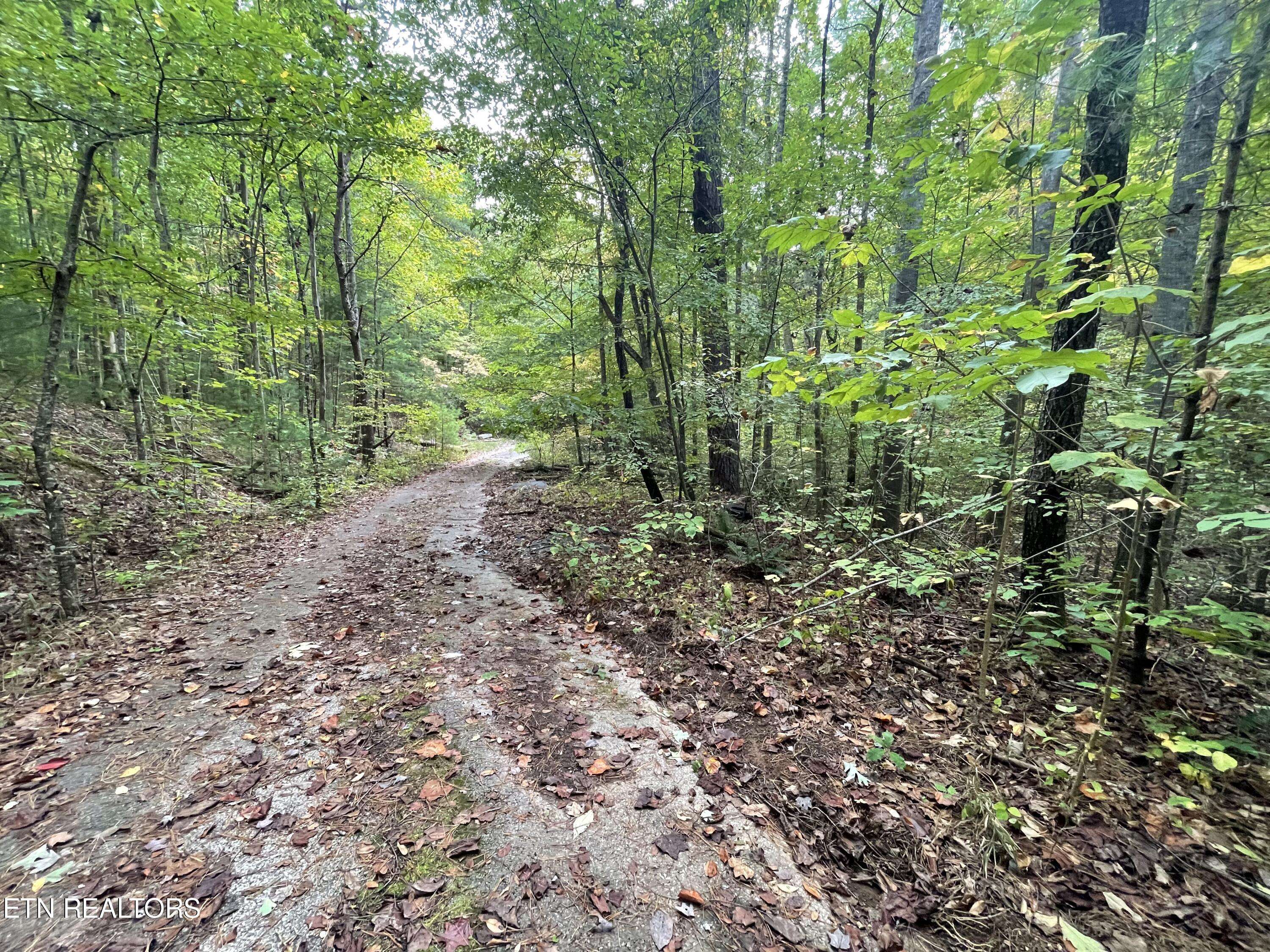 Tellico Plains, TN 37385,1ac Hwy 68