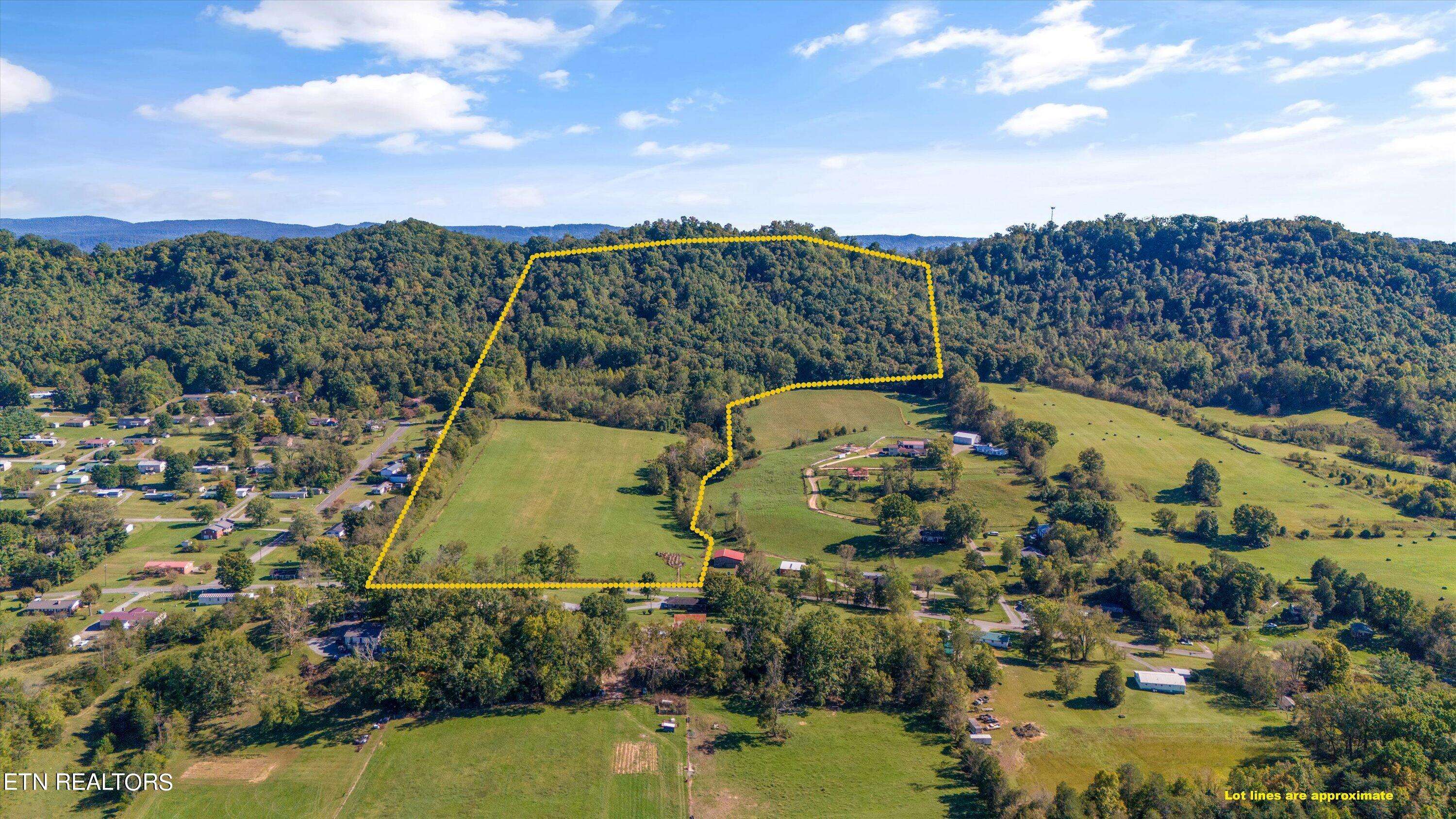 Rogersville, TN 37857,TBD Caney Creek Rd