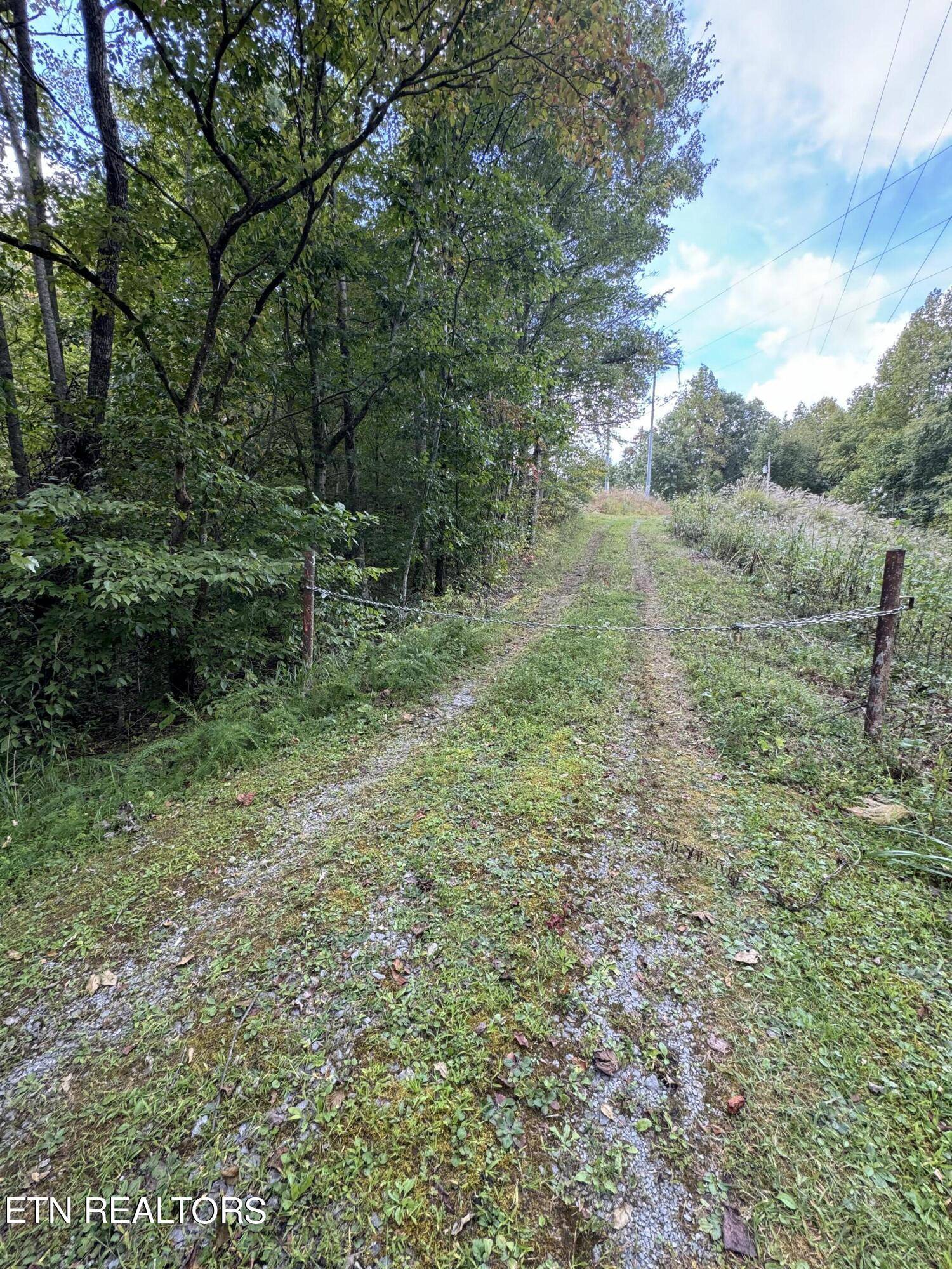 Cosby, TN 37722,4031 Trail Hollow Road Rd