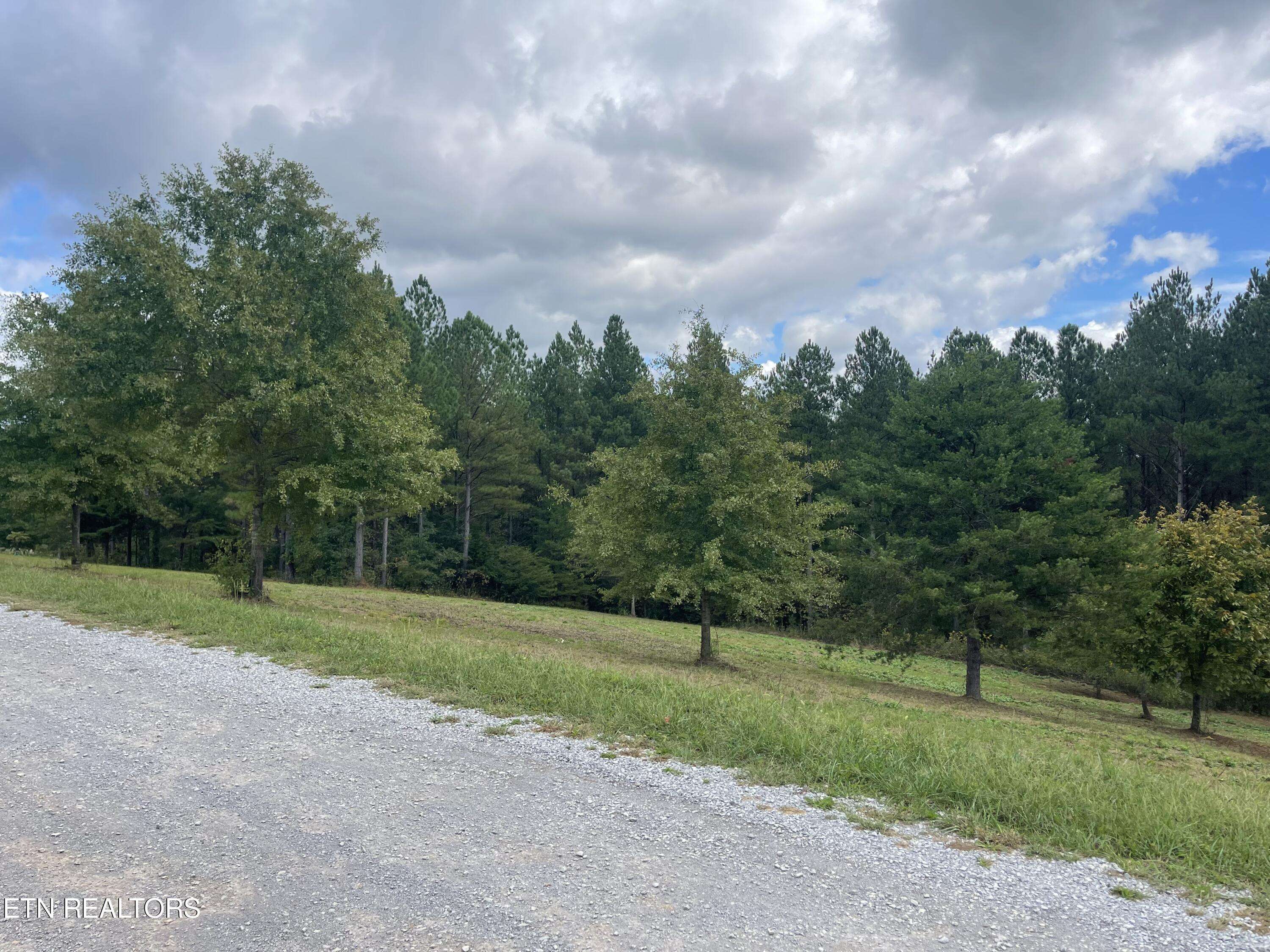 Delano, TN 37325,155 Hiwassee Trails Dr DR