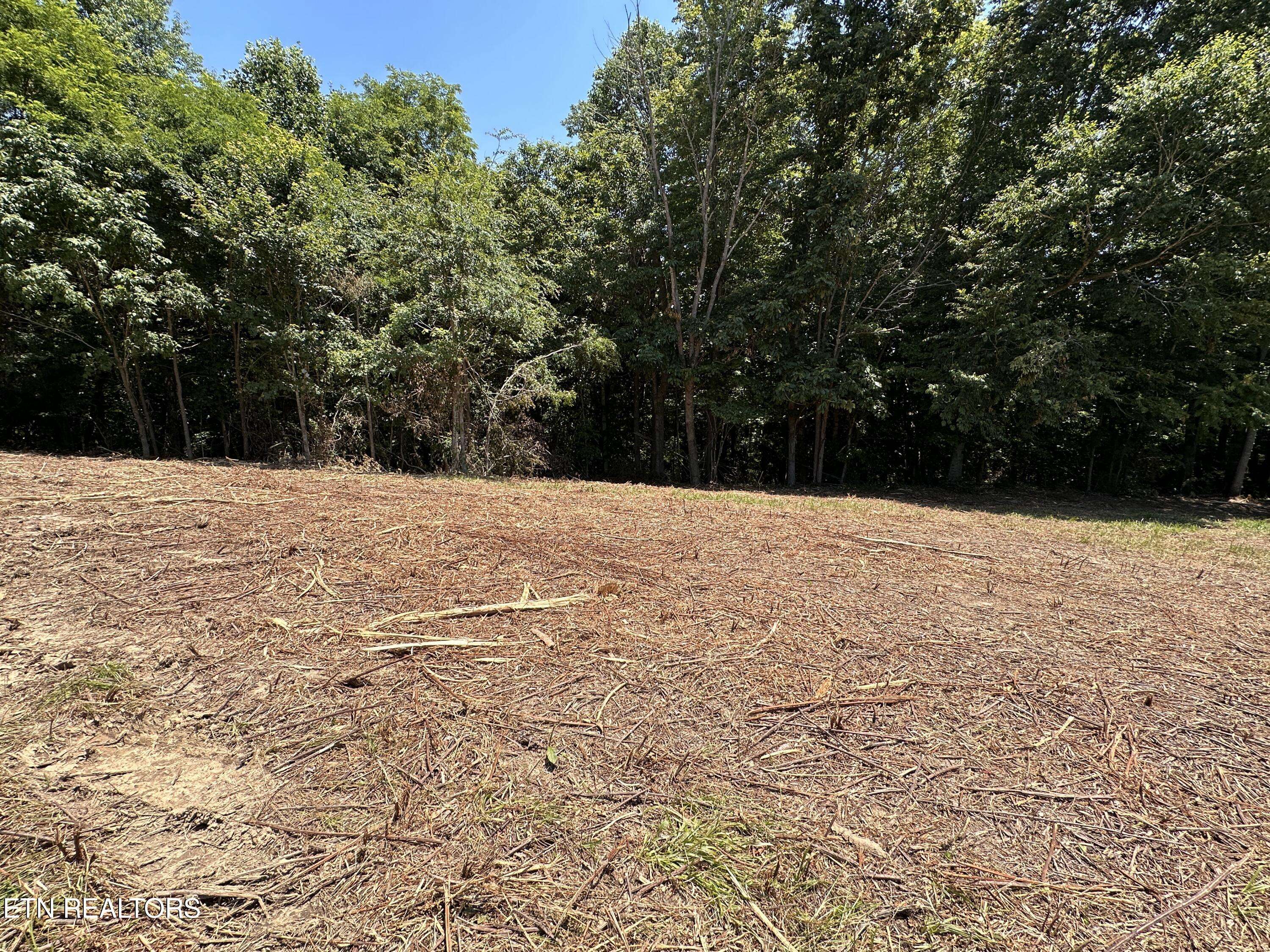 Monroe, TN 38573,4.12 Acres Twin Peaks Ln