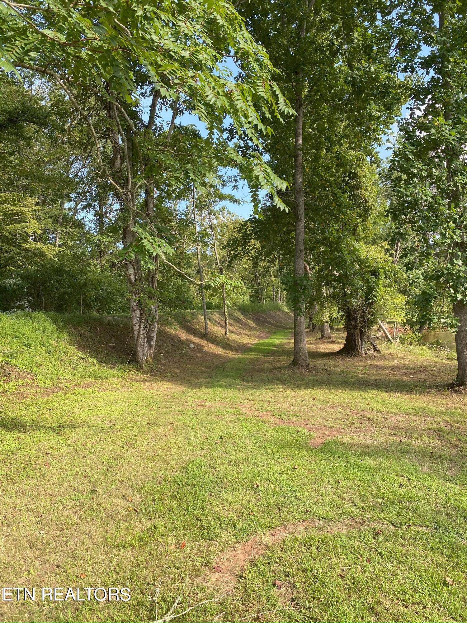 Spring City, TN 37381,Torbett Rd