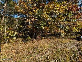 Crawford, TN 38554,Lot 46 Honey Springs Rd