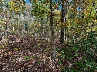 Crawford, TN 38554,Lot 46 Honey Springs Rd