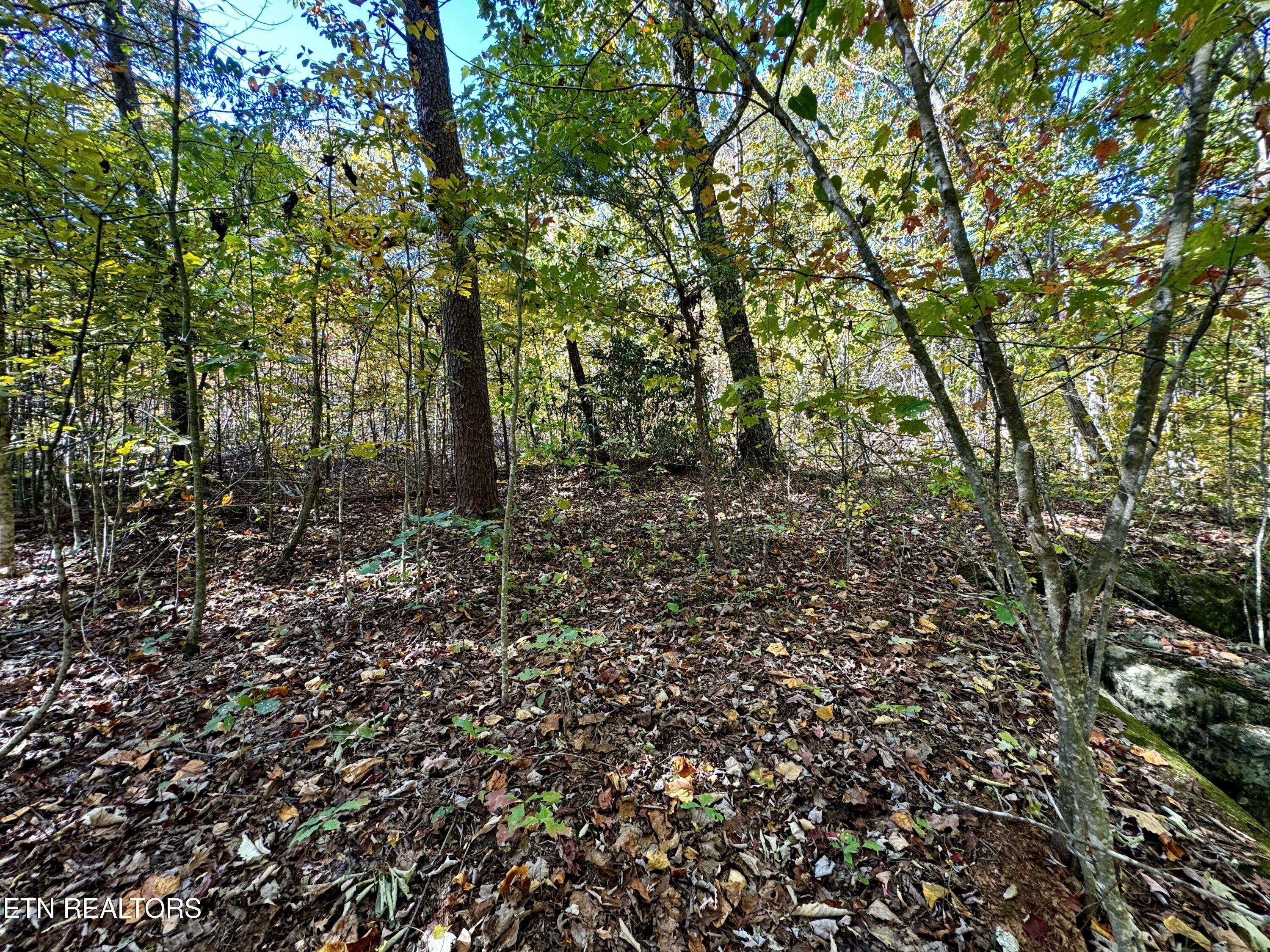 Crawford, TN 38554,Lot 46 Honey Springs Rd