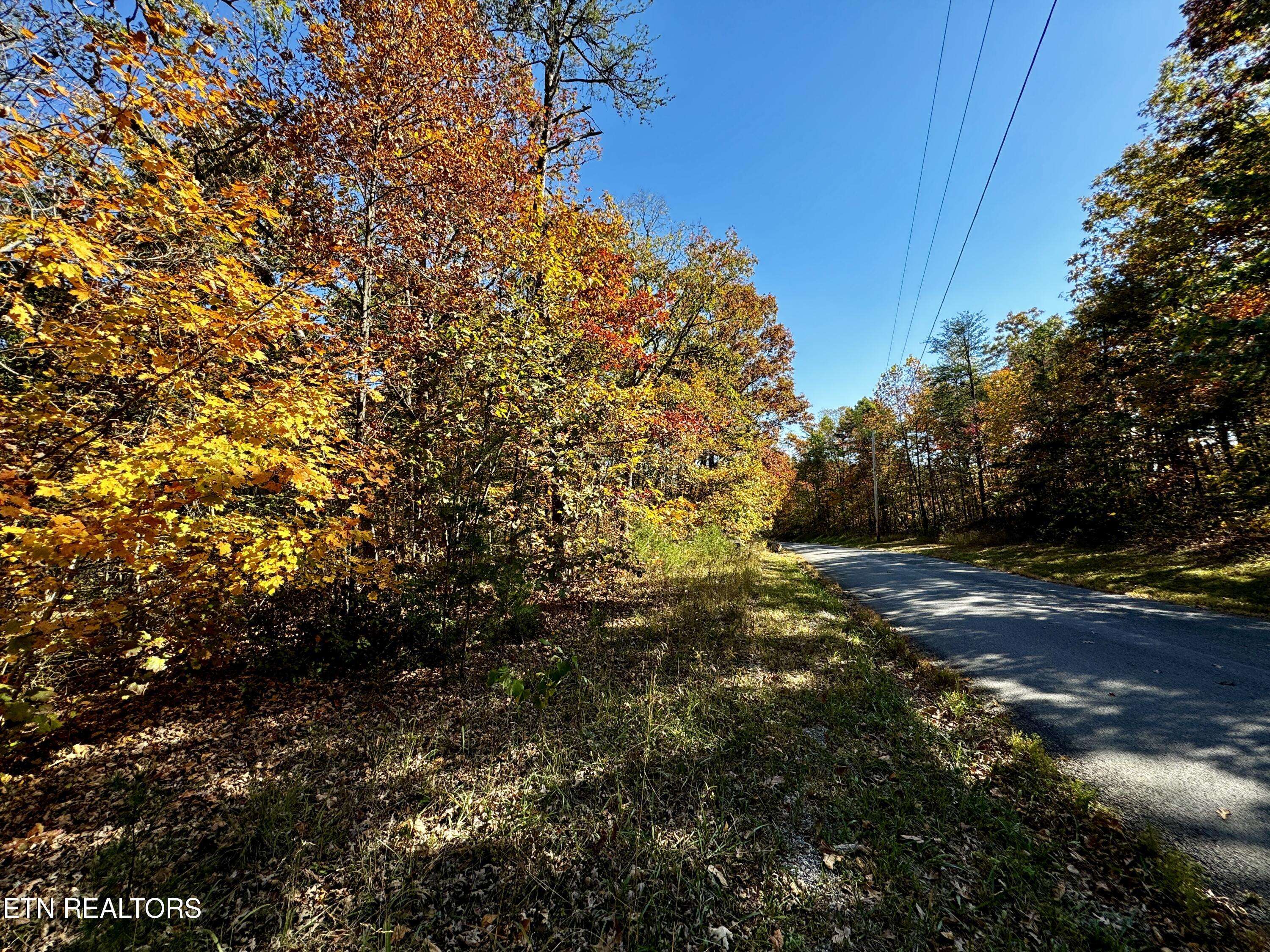 Crawford, TN 38554,Lot 46 Honey Springs Rd