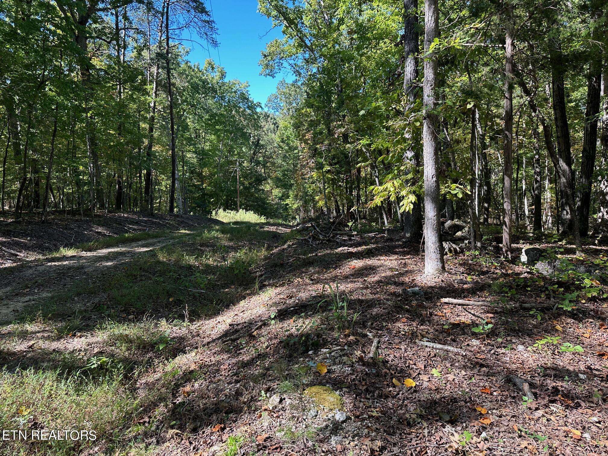 Spring City, TN 37381,Lot351-354 Diana DR