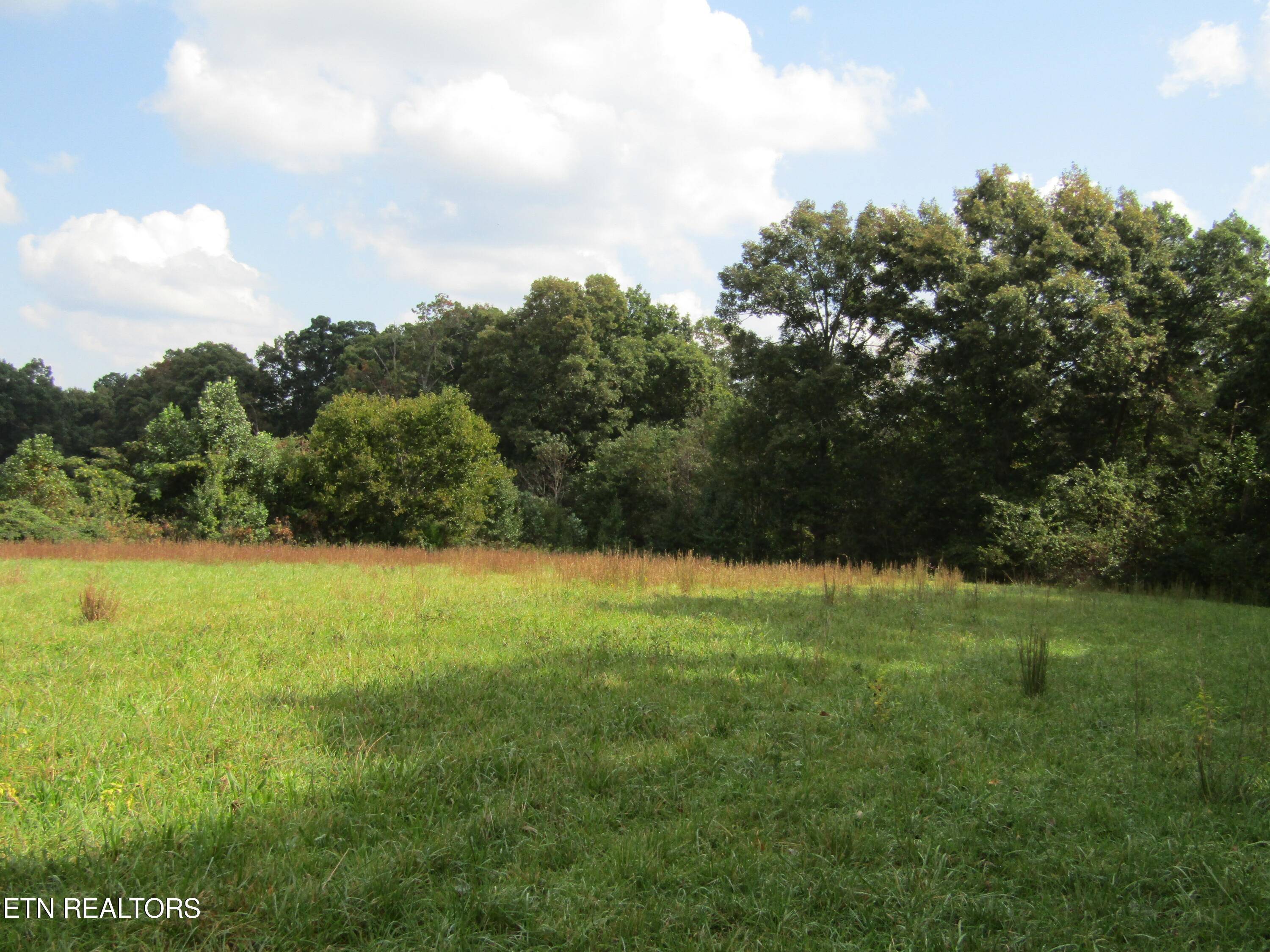 Grimsley, TN 38565,Lot 19 Hack Beaty Rd