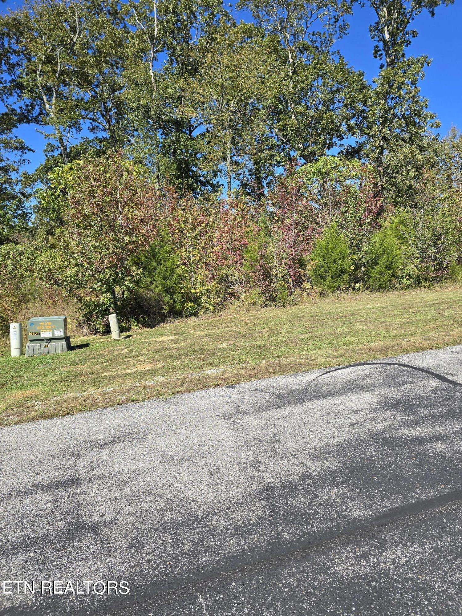 Rockwood, TN 37854,0 Water View DR