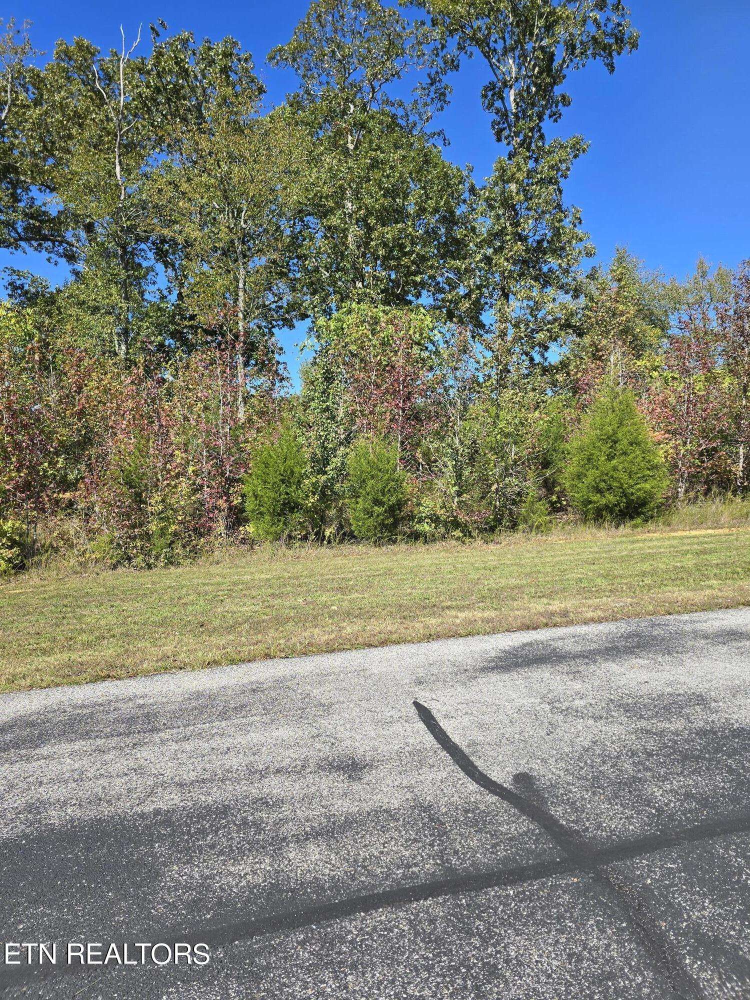 Rockwood, TN 37854,0 Water View DR