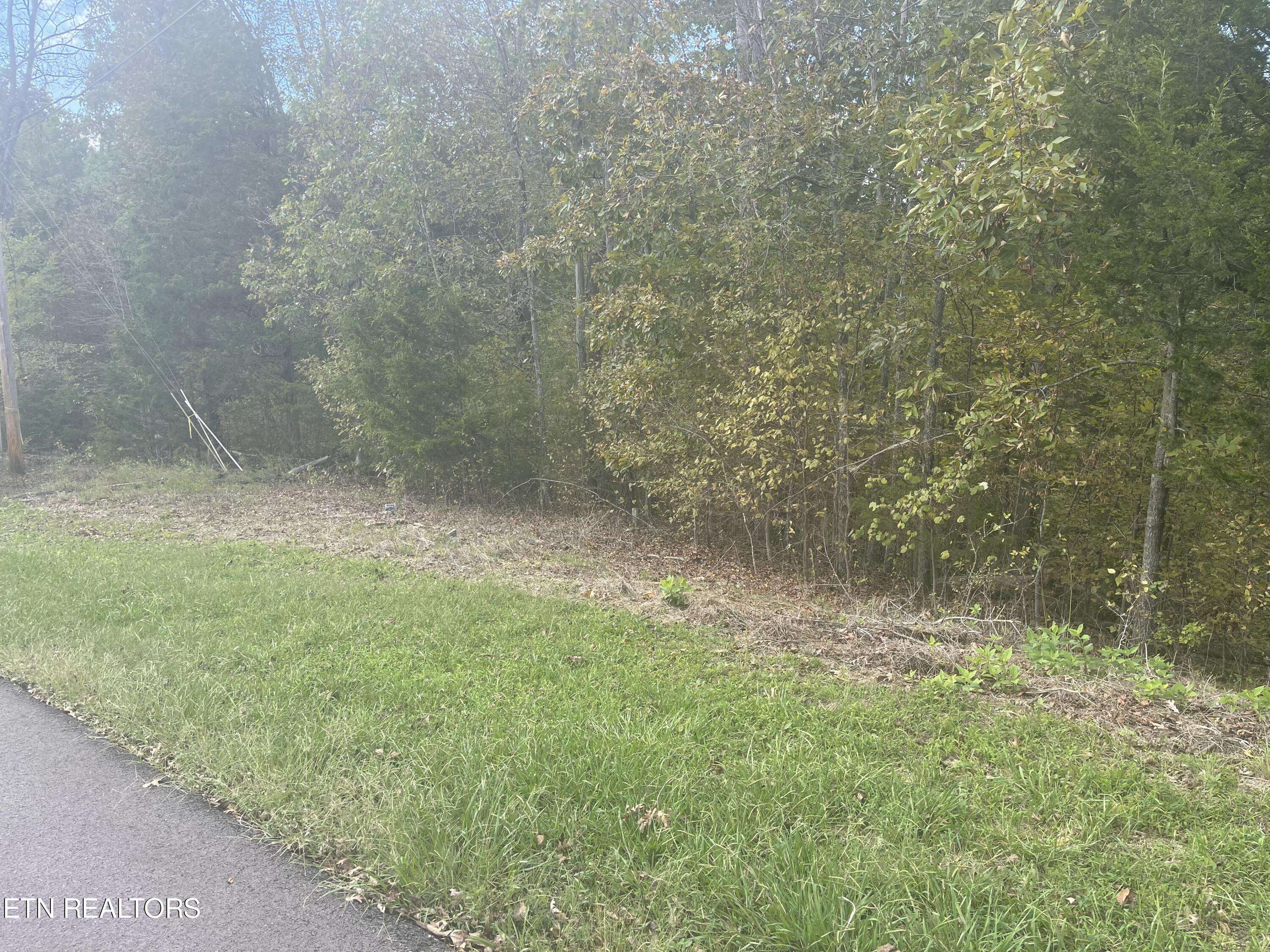 Dandridge, TN 37725,Lot 14 Spotted Fawn LN