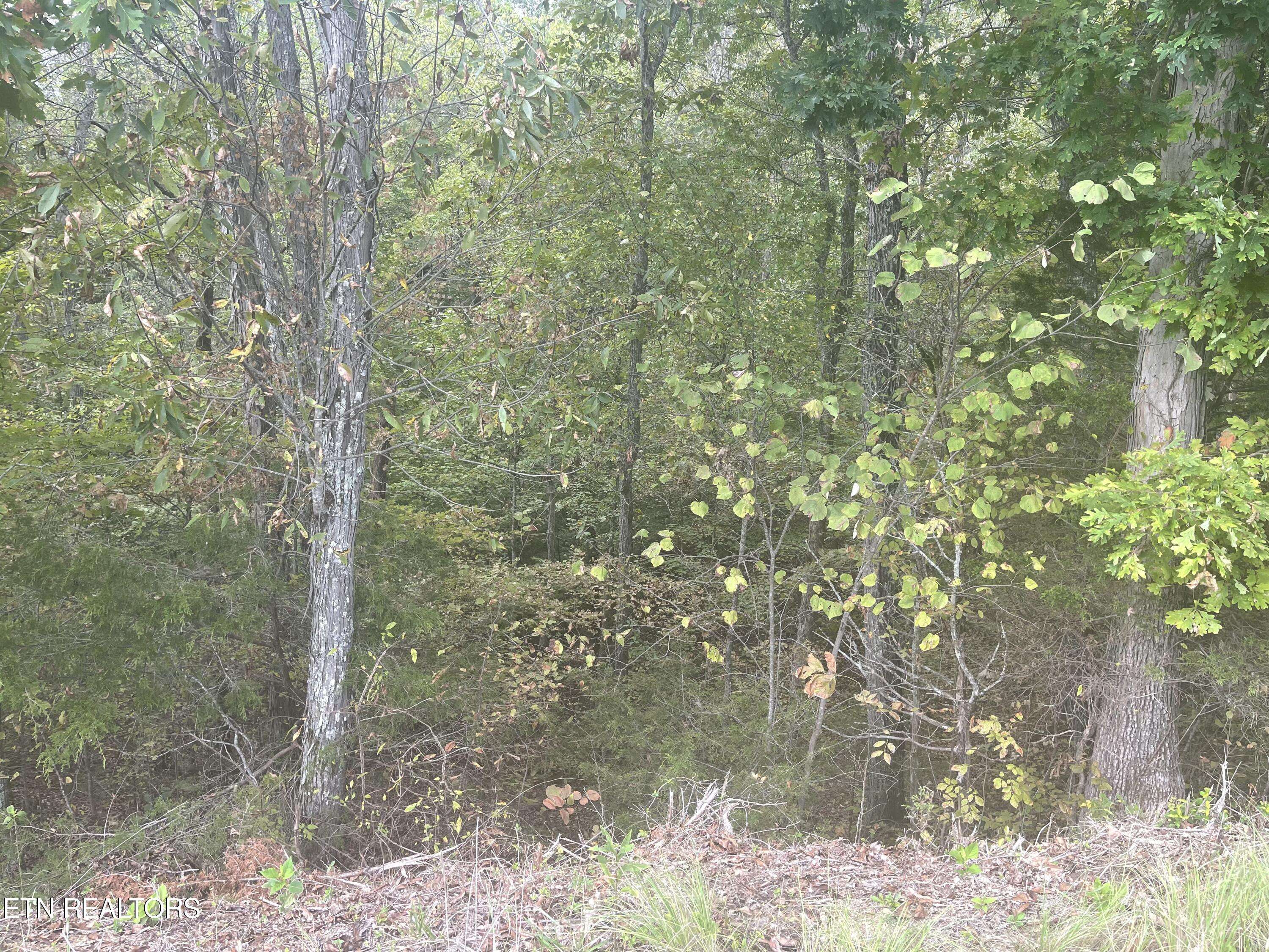 Dandridge, TN 37725,Lot 14 Spotted Fawn LN