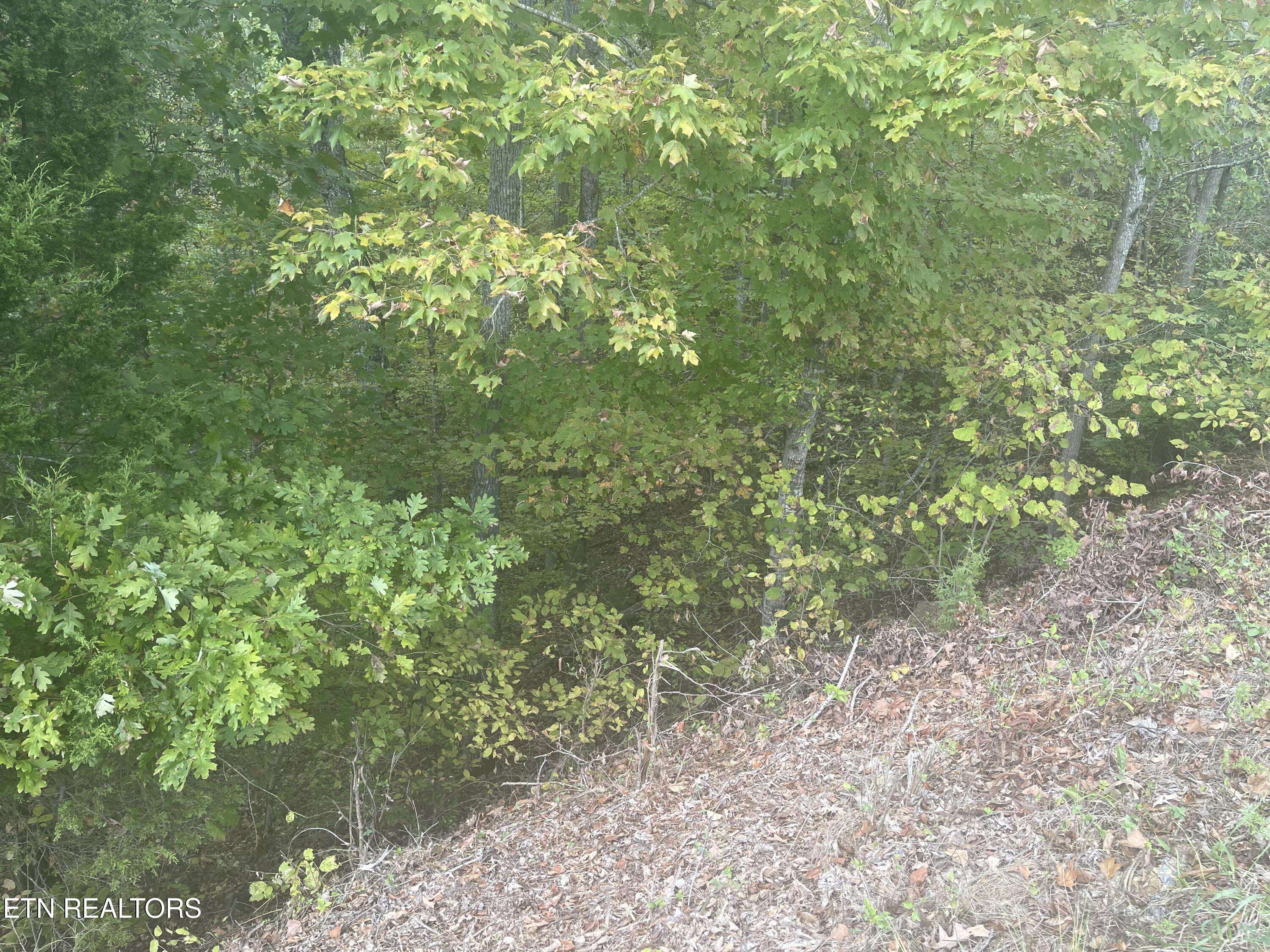 Dandridge, TN 37725,Lot 14 Spotted Fawn LN