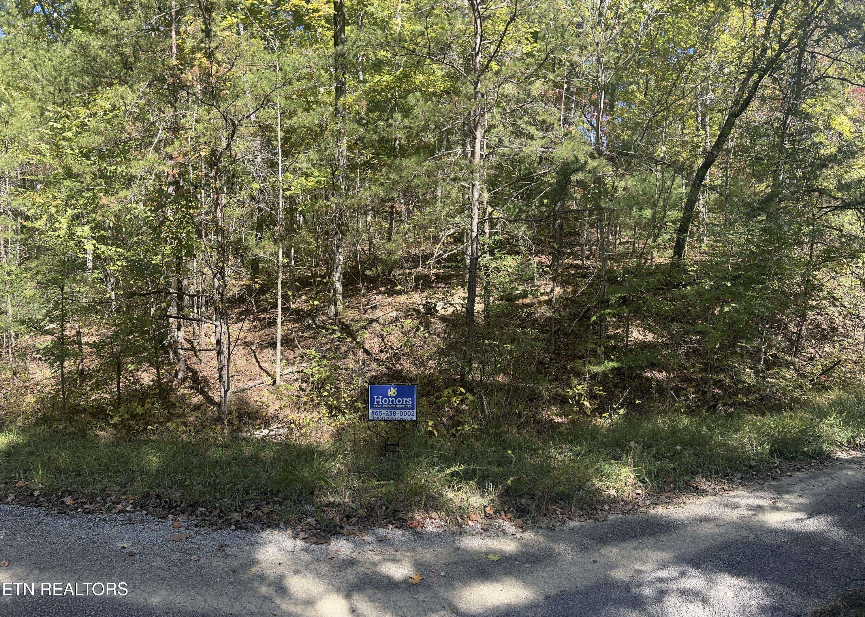 Crossville, TN 38572,80 Hickory Hollow Rd #164