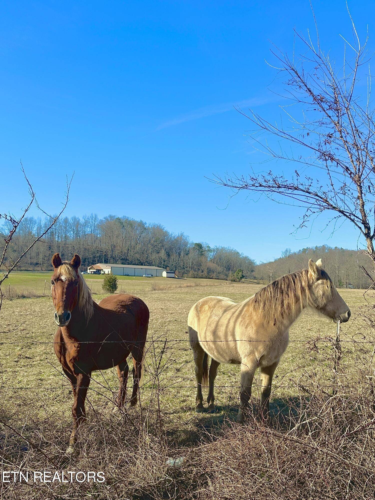 Cosby, TN 37722,Tract 1-3 Cosby Highway