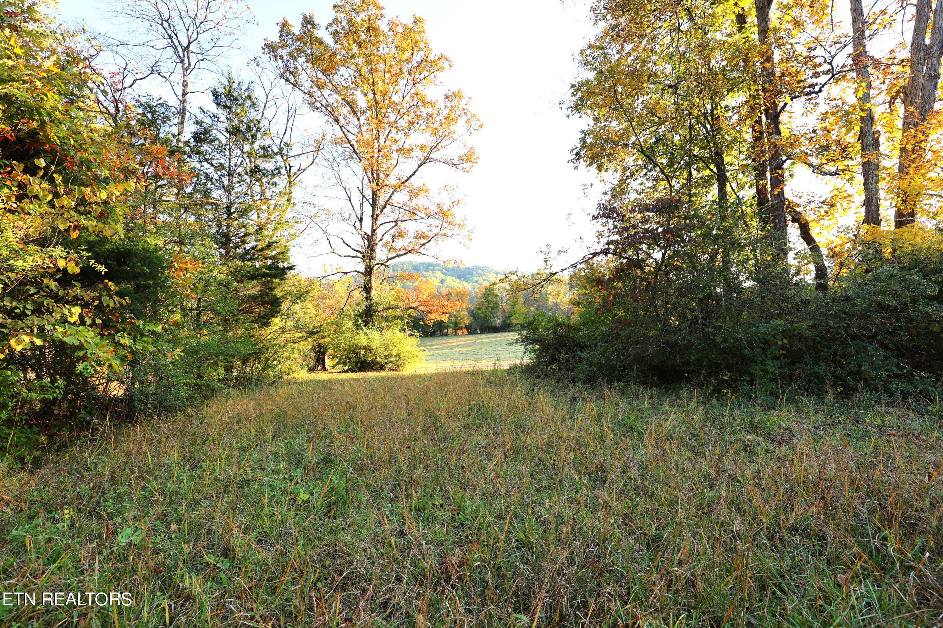 Knoxville, TN 37920,Haws Rd