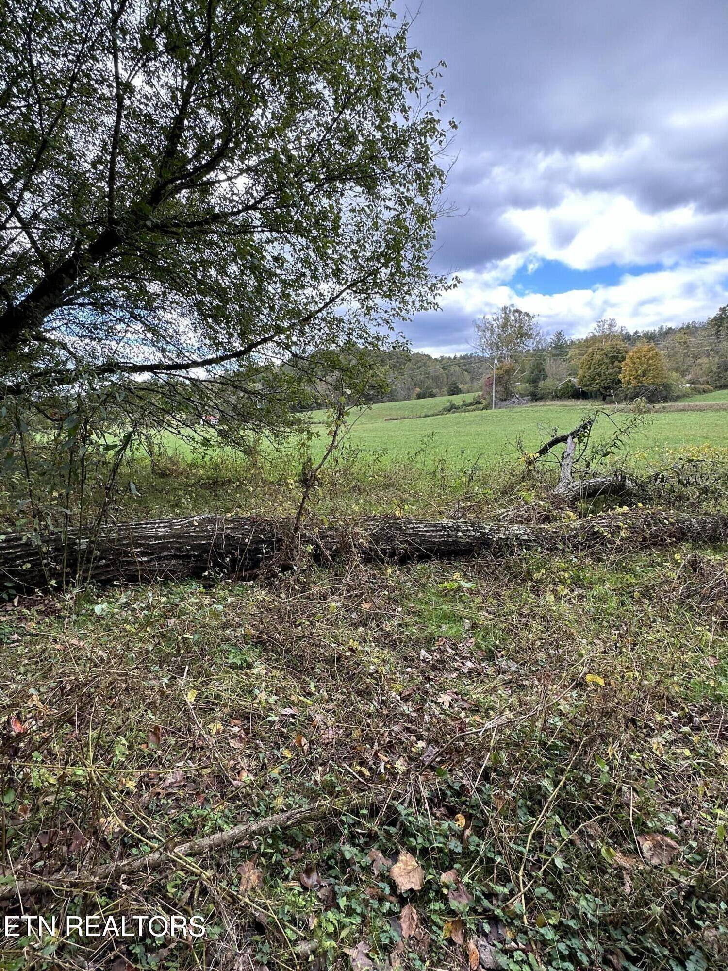 Church Hill, TN 37642,00 Goshen Valley (56 acres) Rd