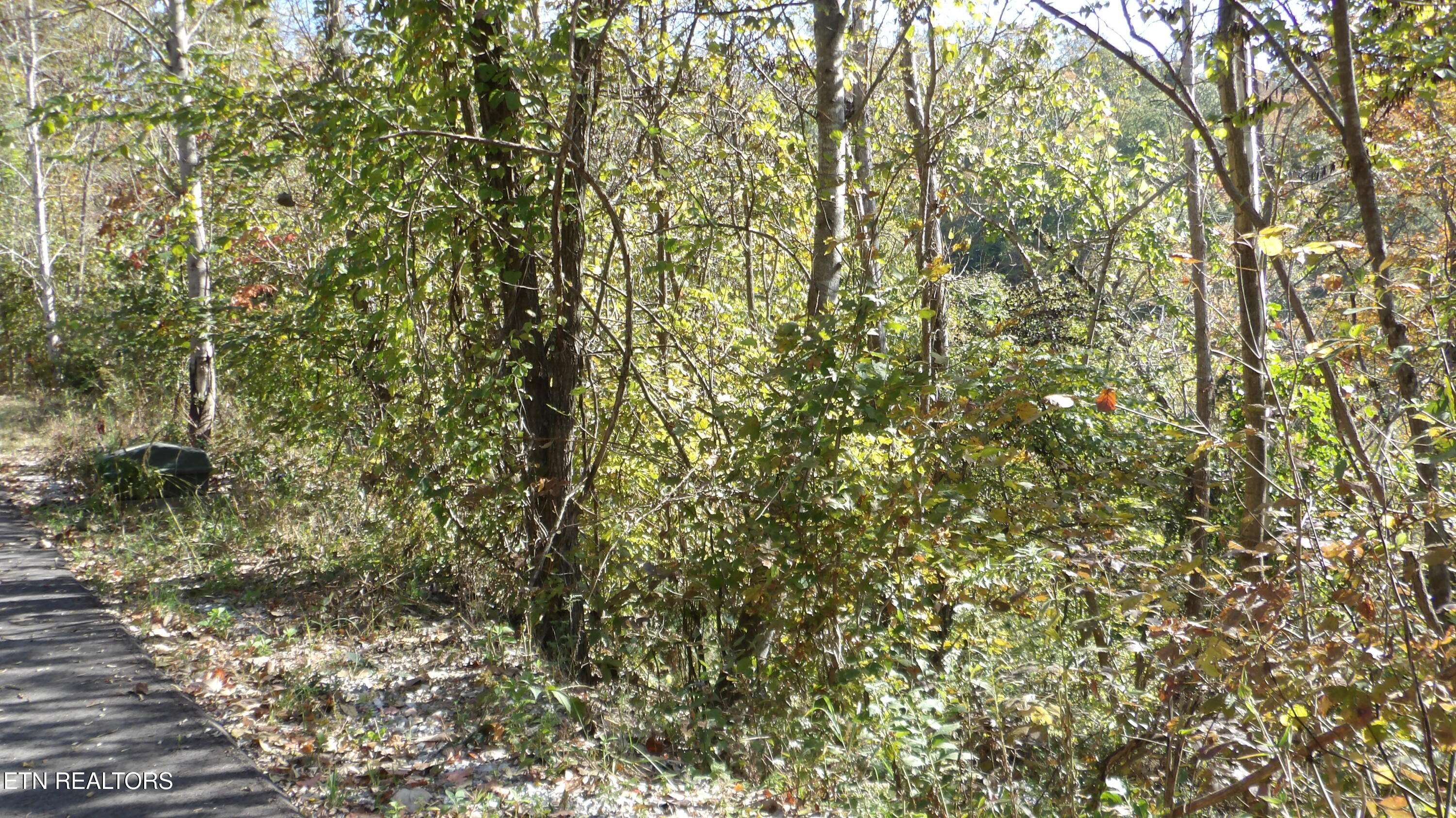 Hilham, TN 38568,Lot 44D Muskie Lane