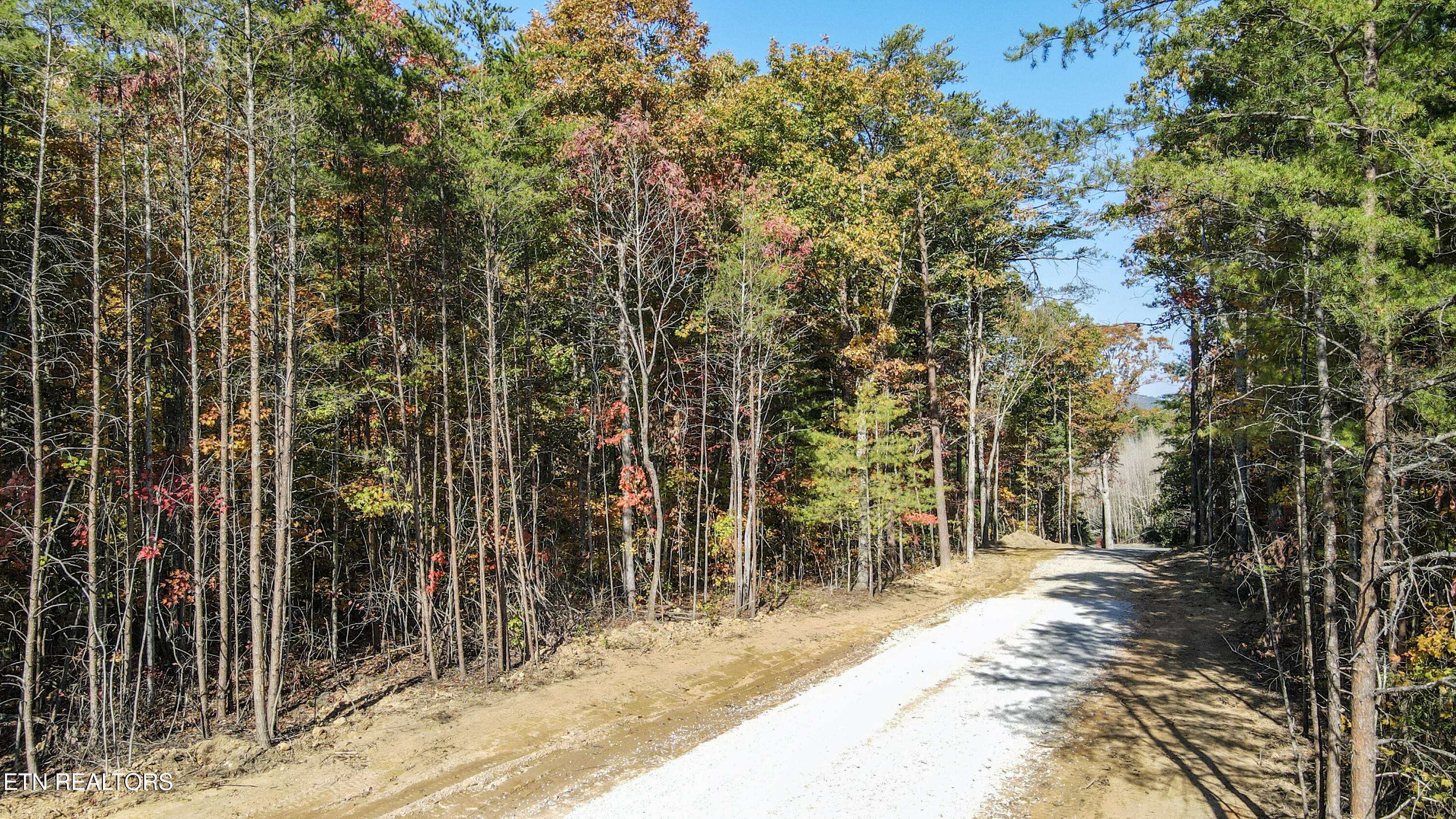 Tellico Plains, TN 37385,101 Cherokee Path