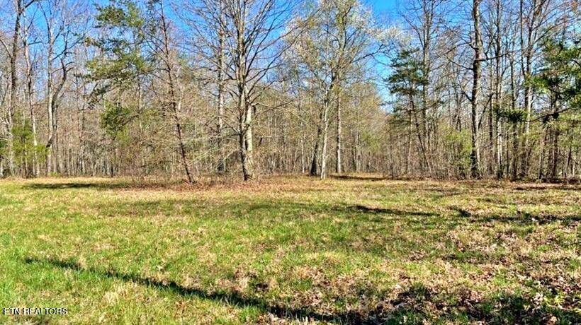 Sunbright, TN 37872,Lot 9 Crest View Drive