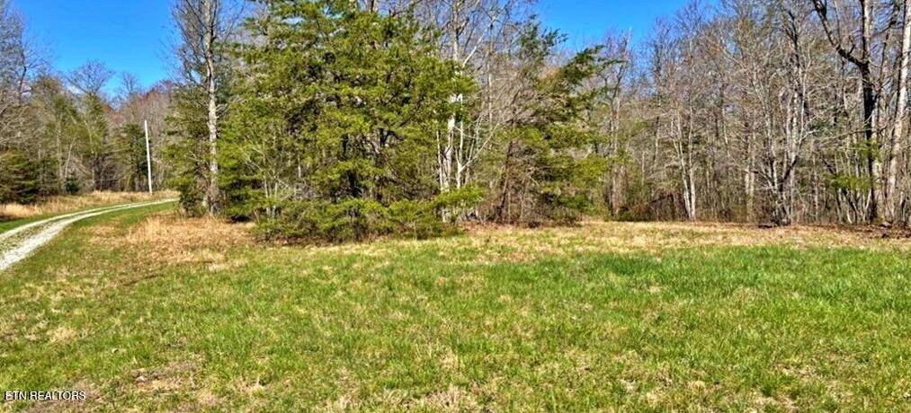 Sunbright, TN 37872,Lot 9 Crest View Drive